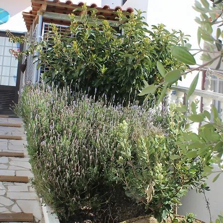 Chill Hill & Private - Peach Garden *