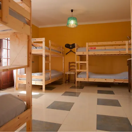 Chill Hill & Private - Peach Garden Hostal *