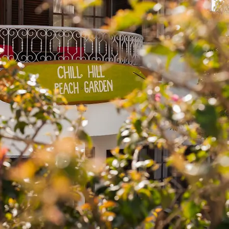 Chill Hill & Private - Peach Garden Hostel *
