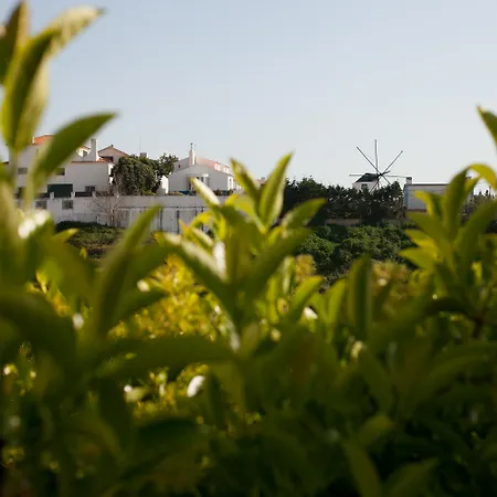 Chill Hill & Private - Peach Garden *