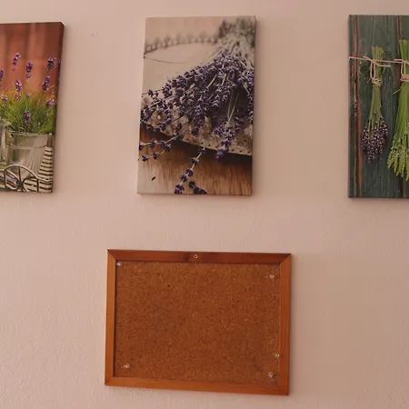 Chill Hill & Private - Peach Garden Хостел