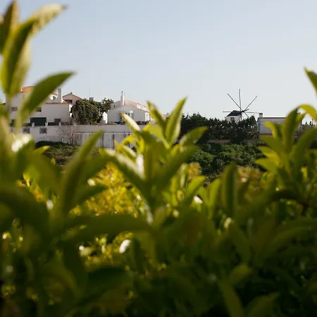 Chill Hill & Private - Peach Garden Hostal