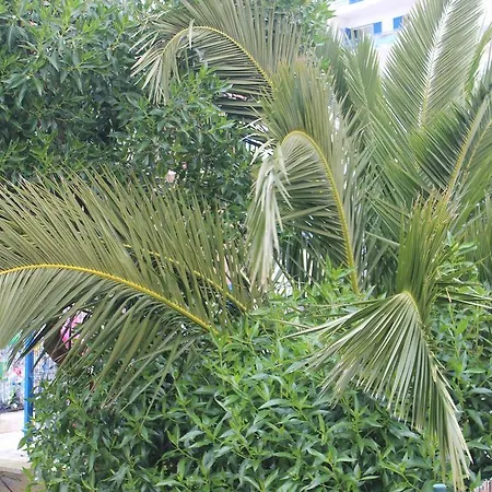 Chill Hill & Private - Peach Garden Hostel *
