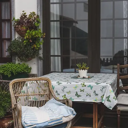 Chill Hill & Private - Peach Garden Hostel