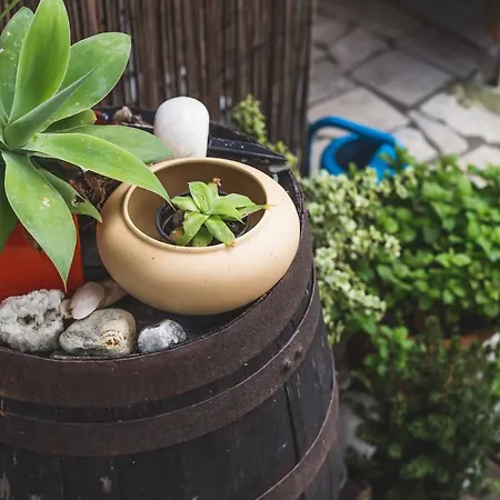 Chill Hill & Private - Peach Garden *