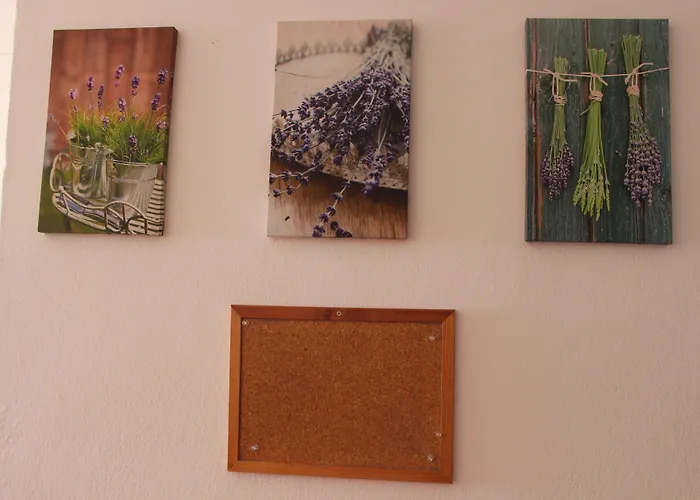 Chill Hill & Private - Peach Garden Hostel