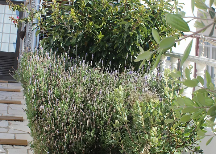 Chill Hill & Private - Peach Garden *