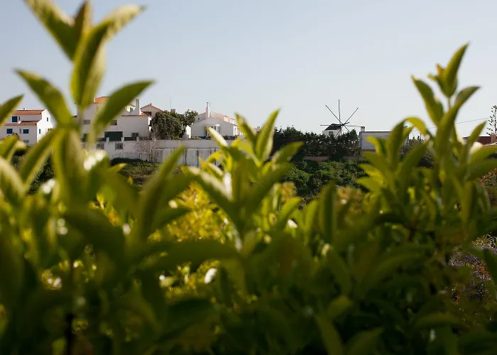 Chill Hill & Private - Peach Garden Vandrarhem